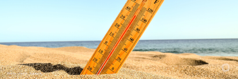 Europe has hottest summer on record: EU Copernicus Europe has hottest summer on record: EU Copernicus