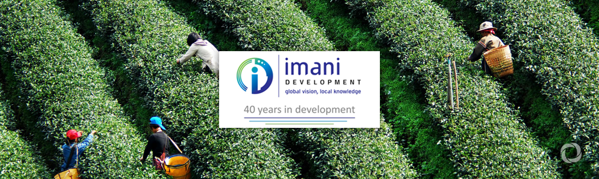 Imani Development celebrates 40 years in development | Associate Writer