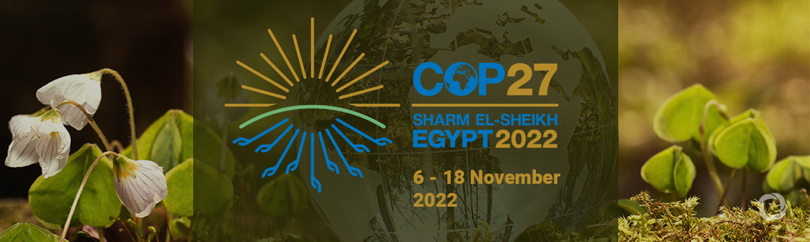 COP27