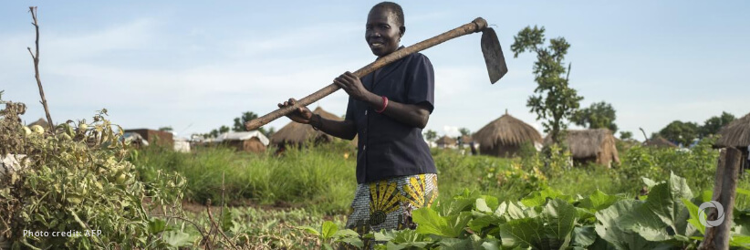 Novo Nordisk Foundation and World Food Programme launch partnership to improve food systems in Rwanda and Uganda Novo Nordisk Foundation and World Food Programme launch partnership to improve food systems in Rwanda and Uganda