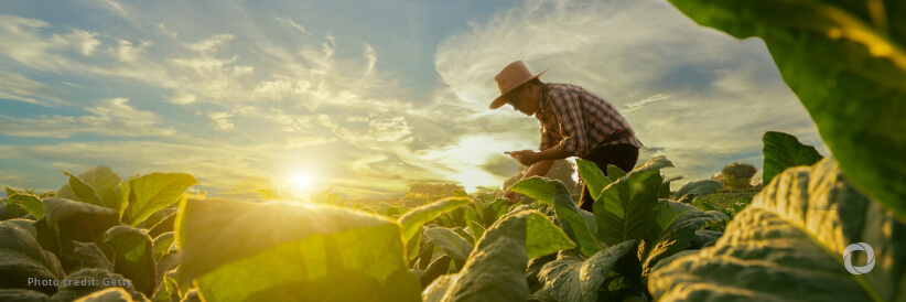 Asia-Pacific countries urged to rapidly transform agrifood systems as hopes fade for achieving the Sustainable Development Goals by 2030 Asia-Pacific countries urged to rapidly transform agrifood systems as hopes fade for achieving the Sustainable Development Goals by 2030