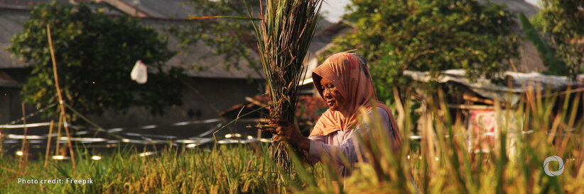 Norway contributes $9.6 million of flexible funding to boost FAO’s response to most severe crises and emergencies Norway contributes $9.6 million of flexible funding to boost FAO’s response to most severe crises and emergencies
