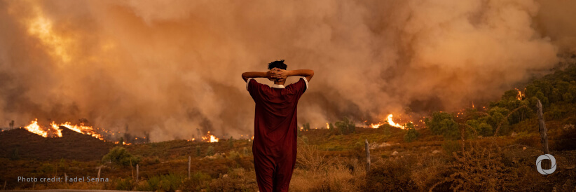Investment to tackle climate change falls amid global crises Investment to tackle climate change falls amid global crises