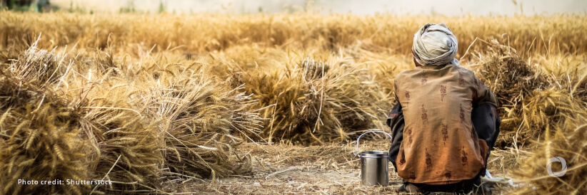 IFC launches financing platform to respond to global food crisis and build resilient food systems IFC launches financing platform to respond to global food crisis and build resilient food systems