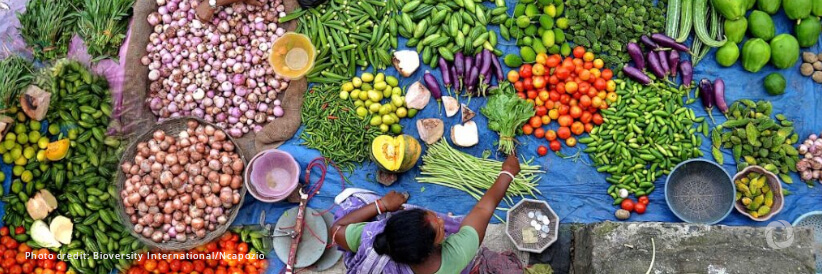 FAO is at the forefront of global efforts to promote sustainable food and agriculture