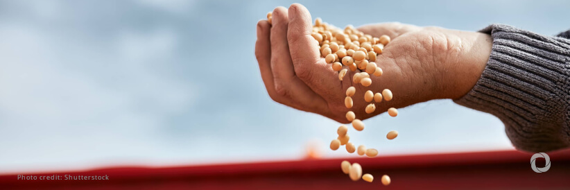 FAO ready to help map a pathway out of global food crisis FAO ready to help map a pathway out of global food crisis