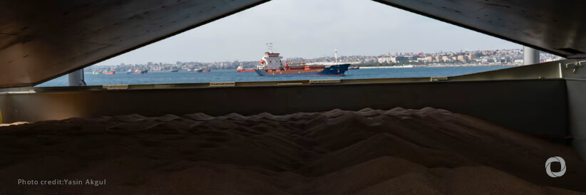 Black Sea Grain Initiative offers hope, shows power of trade Black Sea Grain Initiative offers hope, shows power of trade
