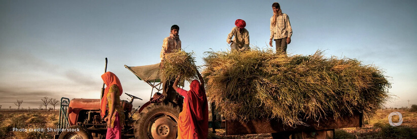 ADB supports food security in India through investments in soil nutrition and climate-resilient farming ADB supports food security in India through investments in soil nutrition and climate-resilient farming
