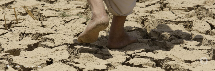 Iraq: Drought crisis destroys income and crops countrywide Iraq: Drought crisis destroys income and crops countrywide