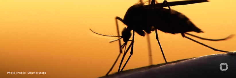 Pacific alliance to combat mosquito-borne diseases Pacific alliance to combat mosquito-borne diseases