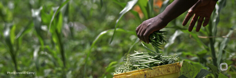 USDA and USAID announce the Global Food Security Research Strategy to fight hunger and build sustainable systems