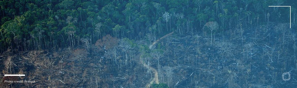 EU amendments to block food imports from deforested areas. How might this affect Brazil?