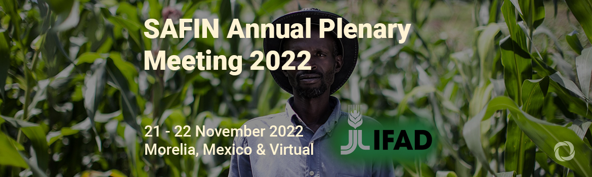 SAFIN Annual Plenary Meeting 2022