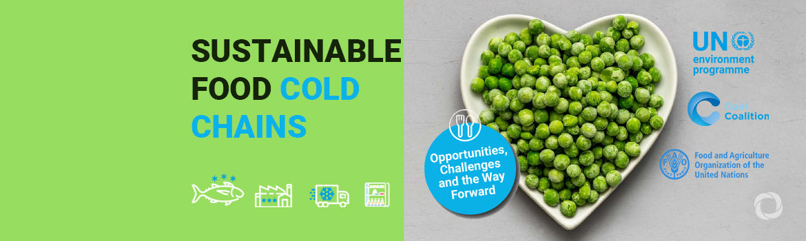 Amid food and climate crises, investing in sustainable food cold chains crucial