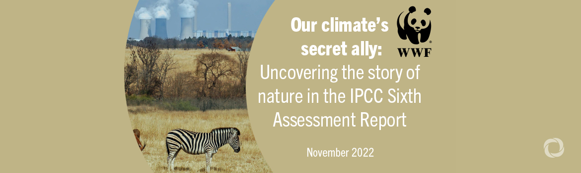 Uncovering nature’s role in climate action