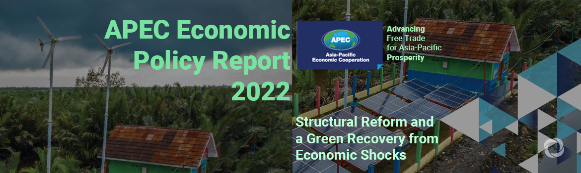 Green recovery is an urgent issue, not just an option: APEC report