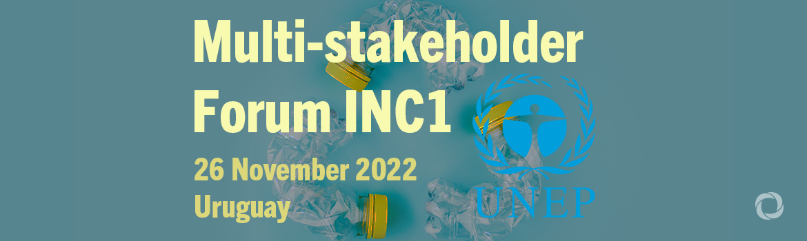 Multi-stakeholder Forum INC1