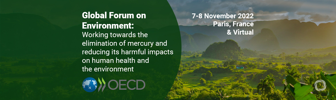 Global Forum on Environment: Working towards the elimination of mercury and reducing its harmful impacts on human health and the environment