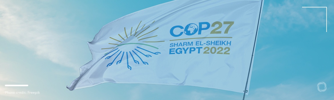 What is COP and what to expect from the forthcoming COP27?