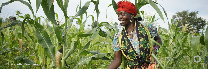 Gates Foundation calls for bold and immediate action at COP27, announces new commitment to meet the climate adaptation needs of smallholder farmers Gates Foundation calls for bold and immediate action at COP27, announces new commitment to meet the climate adaptation needs of smallholder farmers