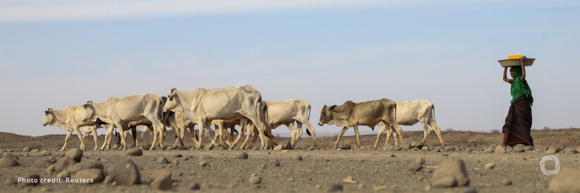 African insurers take up climate change fight with $14 bln pledge African insurers take up climate change fight with $14 bln pledge