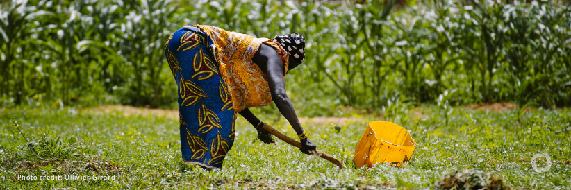 Farmer organizations convene amid crisis to discuss support for small-scale farmers in East and Southern Africa