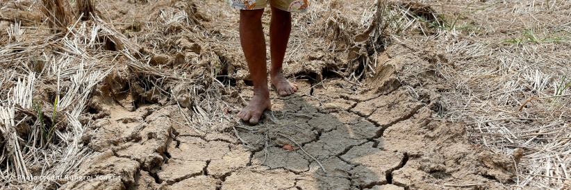 COP27: Now is the time to transform words into action COP27: Now is the time to transform words into action