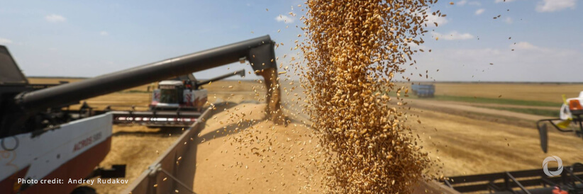 Finland to contribute to shipment of Ukraine grain Finland to contribute to shipment of Ukraine grain