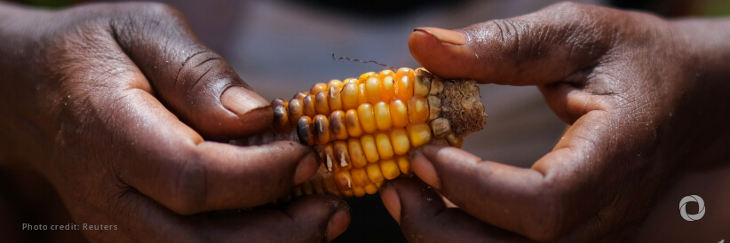 FAO and Quebec ramp up climate adaptation efforts in Côte d’Ivoire, Haiti, and Senegal