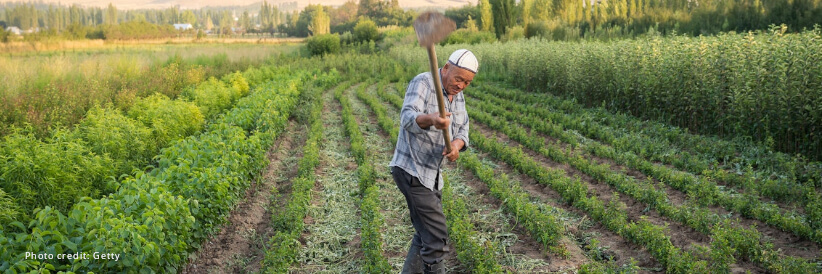 $50 million ADB financing to support food security, social protection, and jobs in Kyrgyz Republic $50 million ADB financing to support food security, social protection, and jobs in Kyrgyz Republic