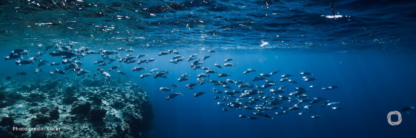 ADB, key partners announce $16.5 million for Ocean Health in the Pacific