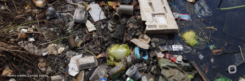 UK leads the way on ending plastic pollution UK leads the way on ending plastic pollution