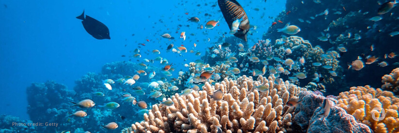 Future mineral demand can be met without deep seabed mining as innovative technology can cut mineral use by 58% Future mineral demand can be met without deep seabed mining as innovative technology can cut mineral use by 58%