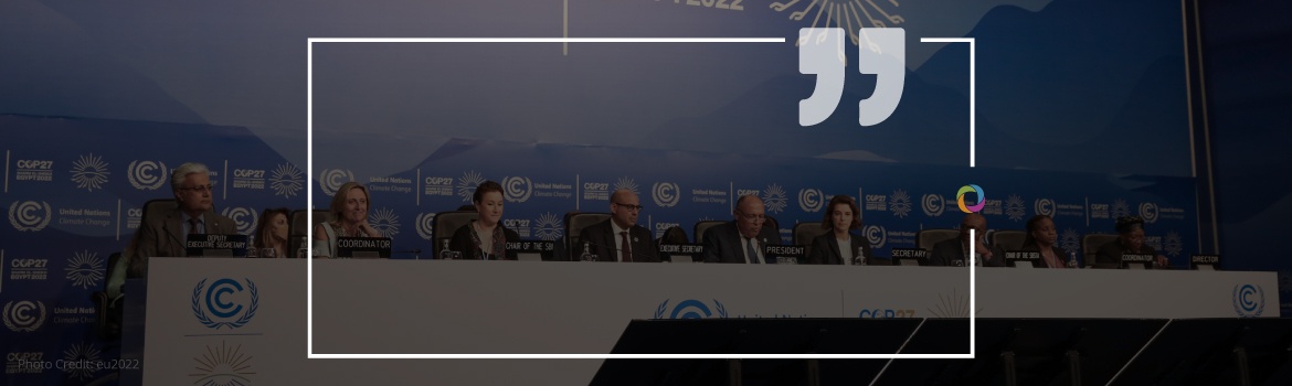 COP27 resolutions, between expectancies and reality | Experts’ Opinions