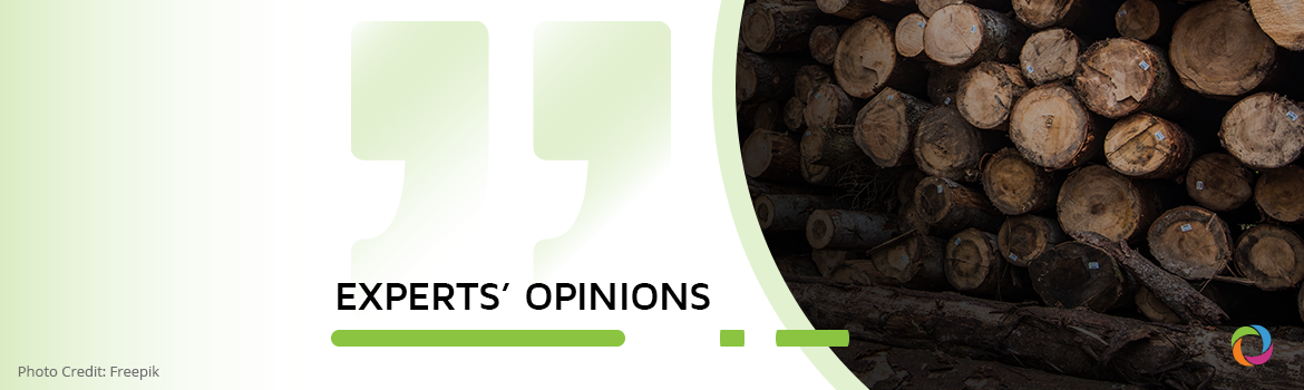 Consequences of deforestation in Europe as demand for firewood grows amidst the gas crisis | Experts’ Opinions