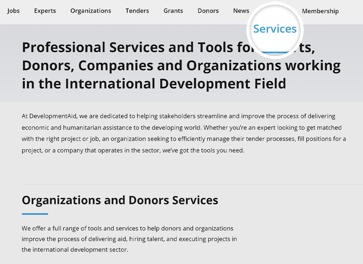 DevelopmentAid Services