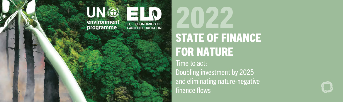 Doubling finance flows into nature-based solutions by 2025 to deal with global crises – UN report