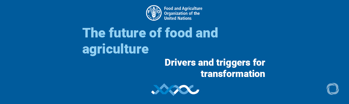 New UN report warns that global food crises ‘likely to increase’ in the future without wider systemic change New UN report warns that global food crises ‘likely to increase’ in the future without wider systemic change