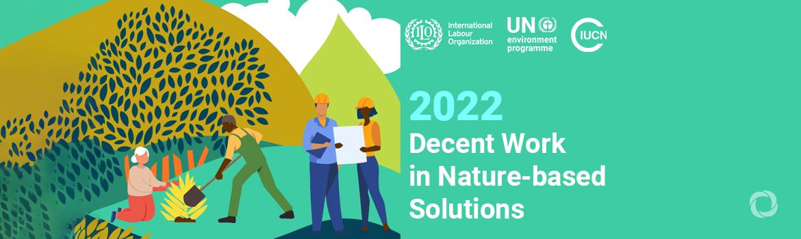 Nature-based solutions can generate 20 million new jobs, but ‘just transition’ policies are needed