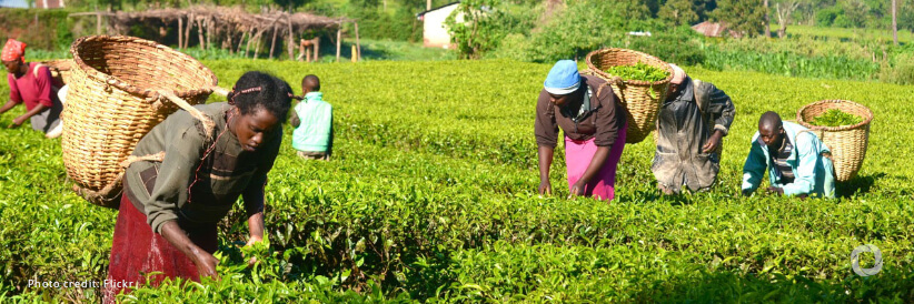 Germany and IFAD join forces to mobilize support for rural communities in Africa through private sector financing Germany and IFAD join forces to mobilize support for rural communities in Africa through private sector financing