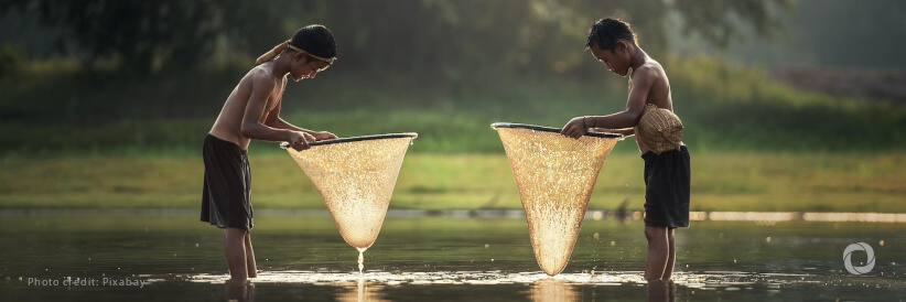 ADB boosting support for Cambodia’s livestock subsector to enhance food security and climate resilience