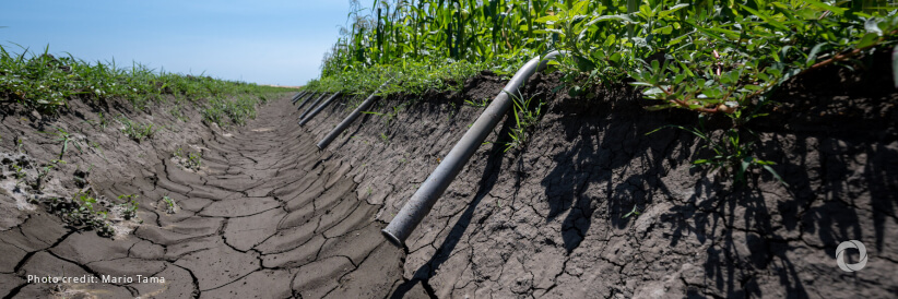 Climate-smart nuclear solutions for drought-struck Angolan cattle Climate-smart nuclear solutions for drought-struck Angolan cattle