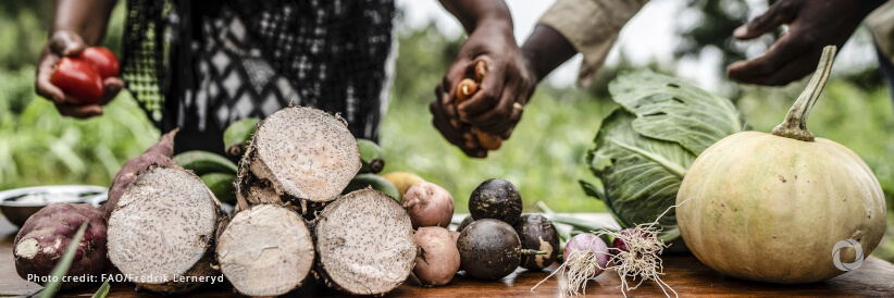 Germany provides EUR 30 million to IFAD’s immediate response to the global food and energy crisis Germany provides EUR 30 million to IFAD’s immediate response to the global food and energy crisis