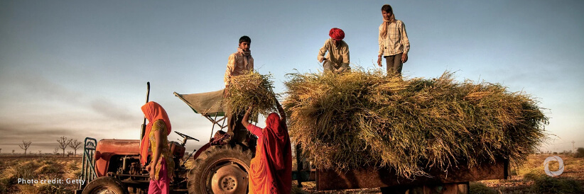 FAO welcomes an additional $150 million multi-agency contribution from the World Bank