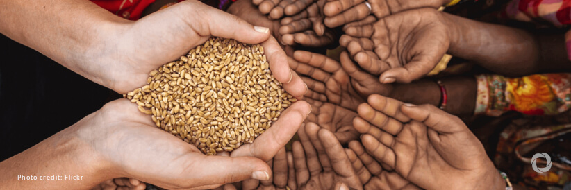 Switzerland pledges an additional 14.5 million Swiss francs to UN World Food Programme Switzerland pledges an additional 14.5 million Swiss francs to UN World Food Programme
