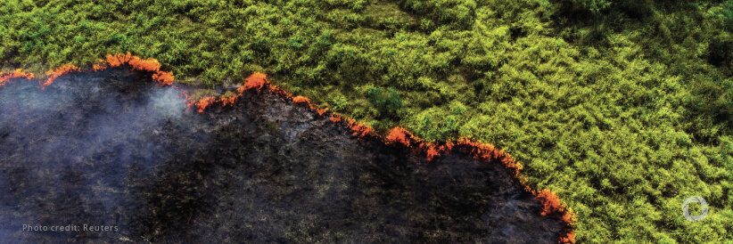 5 key drivers of the nature crisis