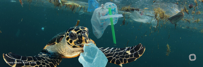 Promising start to plastic pollution negotiations as countries show strong support for ambitious global agreement
