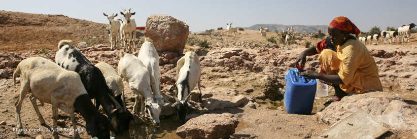 World Bank grants $70 million for delivery of water, agriculture, livestock, and environmental services in Somalia