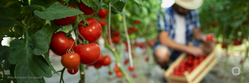 €186 million to promote high quality and sustainable EU agri-food products
