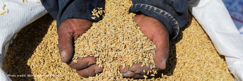 Tajikistan to address food and nutrition insecurity with World Bank support Tajikistan to address food and nutrition insecurity with World Bank support